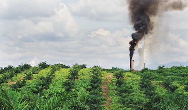 A palm oil mill in Sumatra, Indonesia