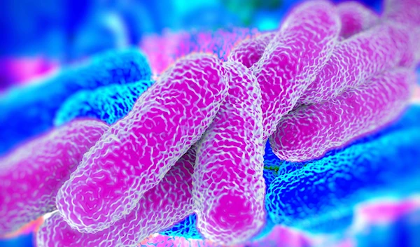 Legionnaires' Disease Outbreak Hits Long Island, New York