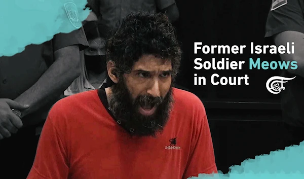 Former Israeli Soldier Meows in Court