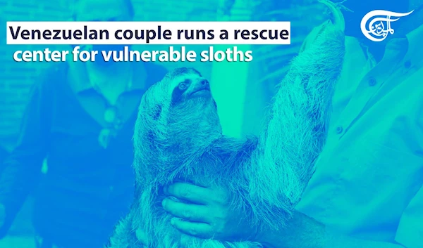 Venezuelan Couple Runs a Rescue center for Vulnerable Sloths