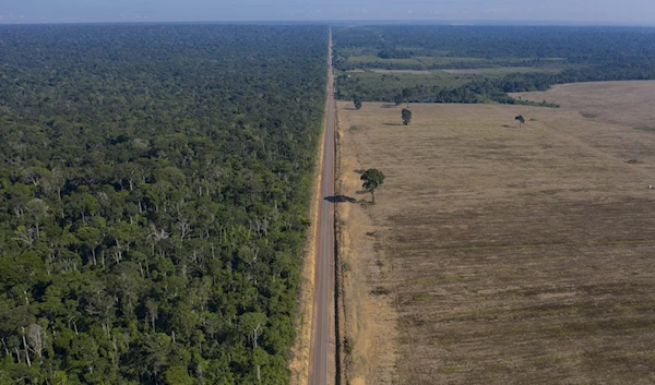 Brazil’s Amazon deforestation surges to worst in 15 years