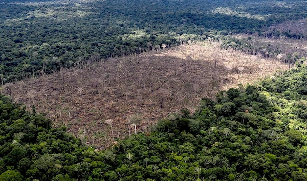 H&M, Zara, Nike & More Could Be 'Deforesting' the Amazon - The Guardian