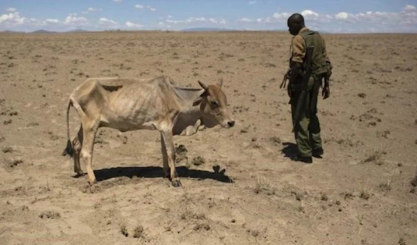 Drought in Kenya worsens