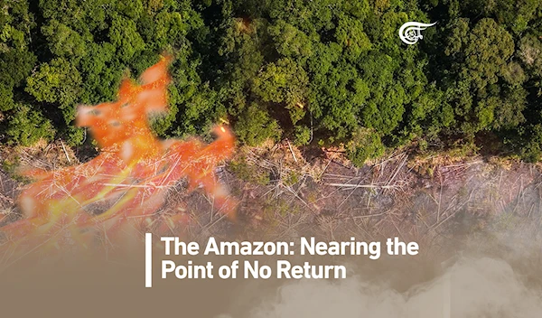 The Amazon Nears the Point of No Return