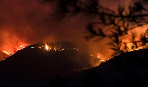 Larnaca Interior Minister: 4 bodies found in a forest fire in Cyprus.