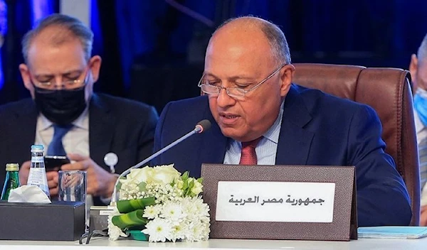 Egyptian Foreign Minister Sameh Shoukry during a consultative meeting in Doha on June 15 (AFP).