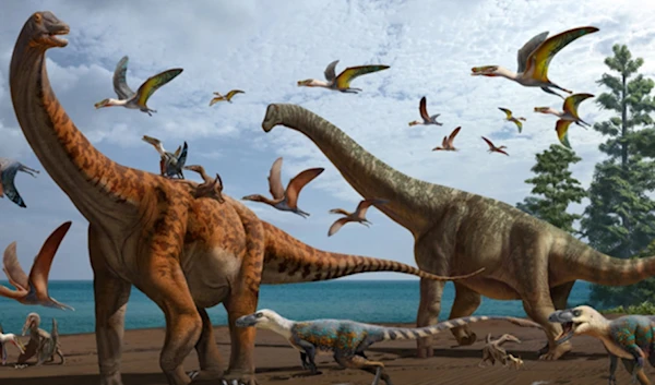 Two new dinosaur species were discovered in northwest China