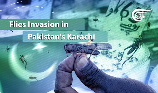 Flies Invasion in Pakistan's Karachi