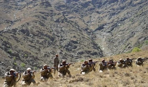 Afghan Opposition Agrees to Ceasefire Negotiations in Panjshir