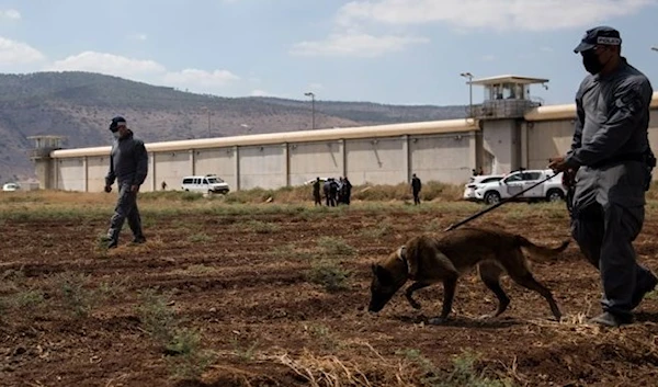 Israeli media: Gilboa prison break is the largest in years