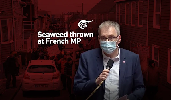 COVID pass protesters throw seaweed at French MP