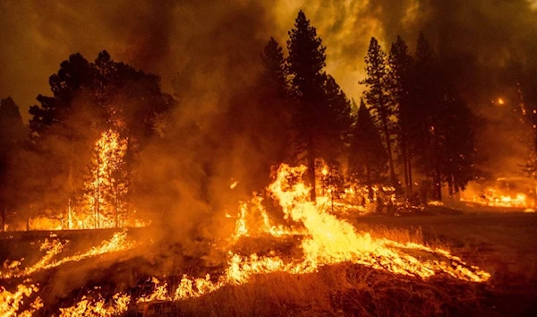 Impact of Climate Change on California’s Wildfires