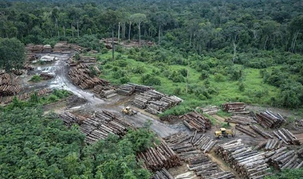 An illegally deforested region in the Amazon (Brazilian Environmental and Renewable Natural Resources Institute)