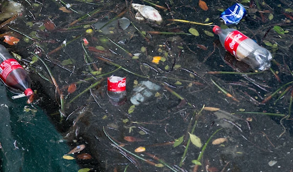 Coca-Cola has been accused of greenwashing