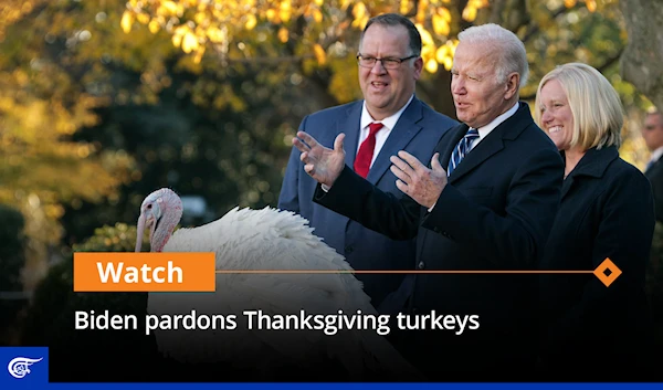 Biden pardons Thanksgiving turkeys