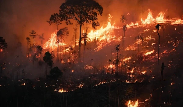 Wildfires in Brazil's Amazon rainforest up 90% from last year