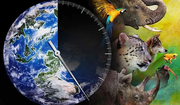 The clock is ticking on extinction rates (The Week)