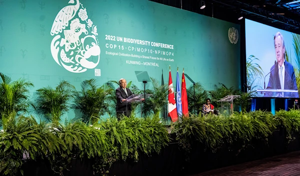 15th UN biodiversity conference in Montreal.