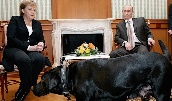 German ex-Chancellor Angela Merkel uneasy as Russian President's Labrador approaches in Moscow, 2007 (AFP)