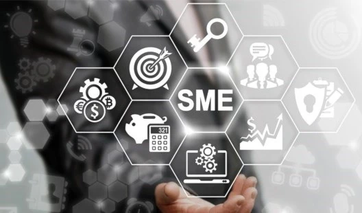 SME strategies (Cape Business News)