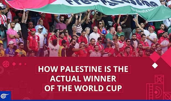 How Palestine is the actual winner of the World Cup