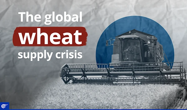 The global wheat supply crisis