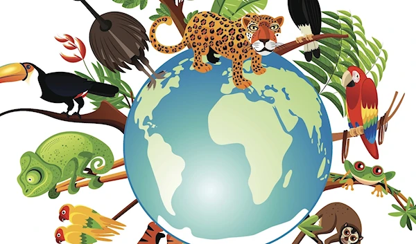 Biodiversity loss threatens economic stability: Report