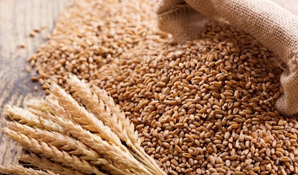 Russia raises tax on grain export