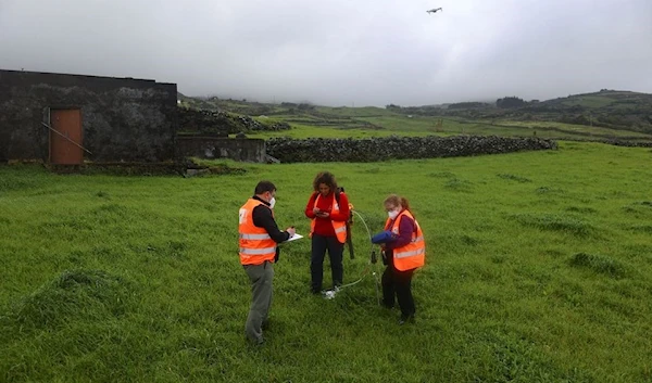 Volcanologists investigating repeated shaking of Portugal's Azores