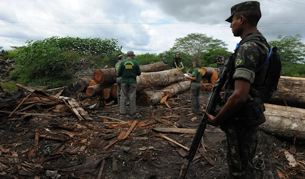 A Brazilian soldier supervising deforestation in Brazil