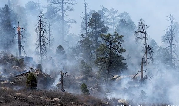 Smoke rises near San Miguel and Mora County in New Mexico.