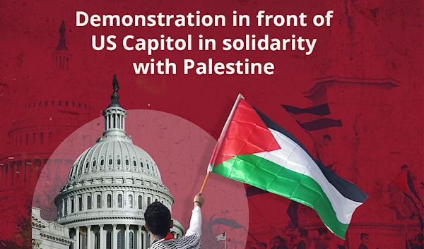 Protest in front of US Capitol in solidarity with Palestine