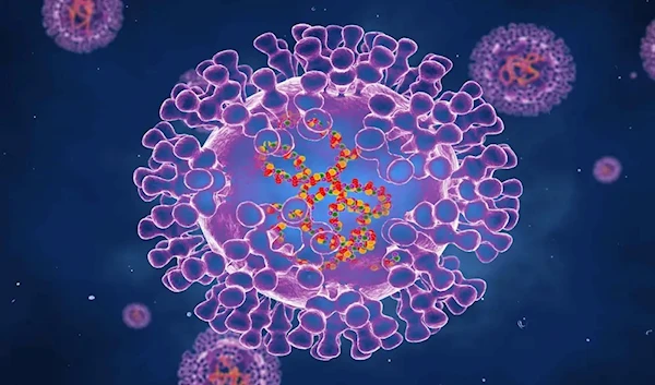 Pox viruses are oval shaped (Getty images, Roger Harris)