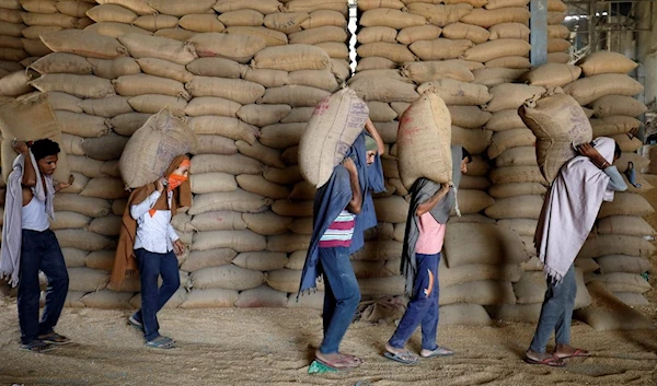 Indian workers carrying wheat