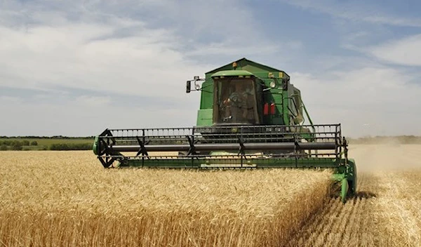 Russia may establish a second grain market