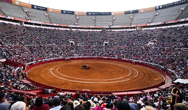 Mexican judge orders suspension of bullfights in world's largest ring