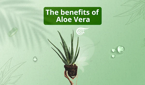 The benefits of Aloe Vera