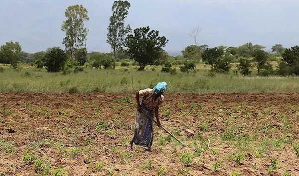 Farmer in Tanzania.