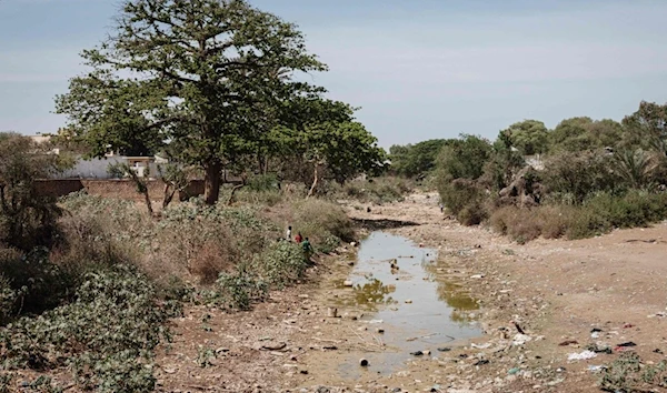 Horn of Africa drought drives 20 million towards hunger