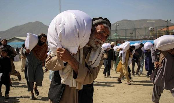 Nearly half of Afghans face acute hunger: WFP