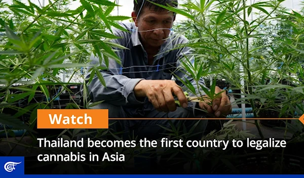 Thailand becomes the first country to legalize cannabis in Asia