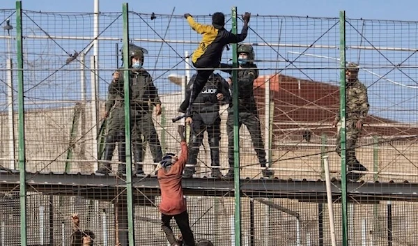 Migrants climb the fences separating the Spanish enclave of Melilla from Morocco on June 24, 2022. (AP)