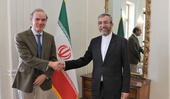 Iranian top negotiator Ali Bagheri Kani with Enrique Mora. (Archive)