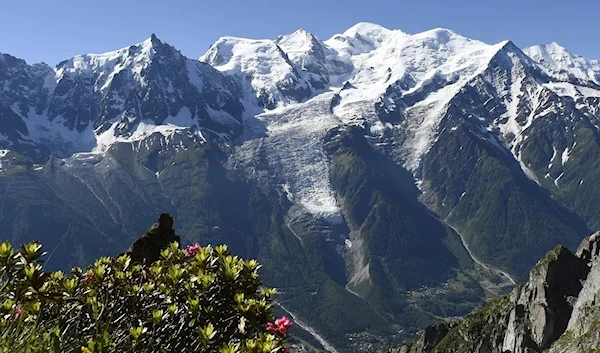 Global heating is turning white Alps green, study finds.