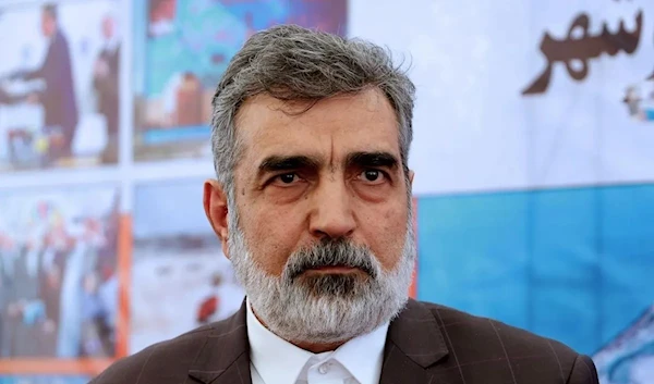 AEOI spokesperson Behrouz Kamalvandi