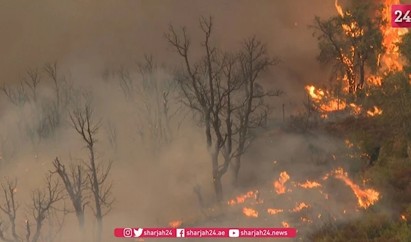 Fires rage in the North of Morocco, 500 families evacuated