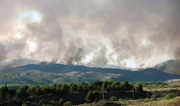 Reforestation company ‘devastated’ after causing wildfire in Spain.