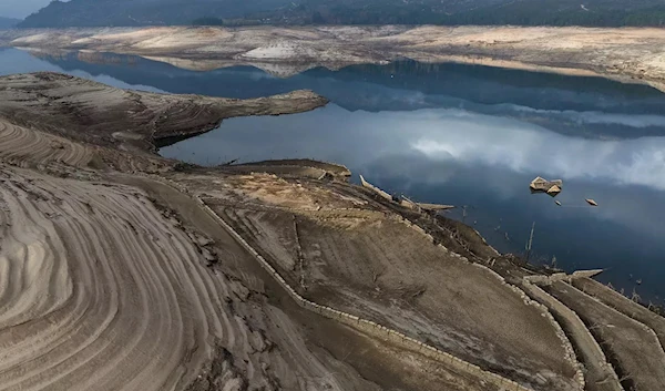 Drought threatens Spain's 'green gold' harvest.