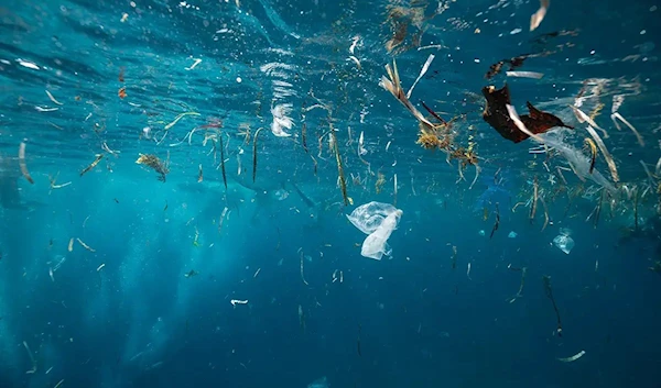 'They're everywhere': microplastics in oceans, air and humans.