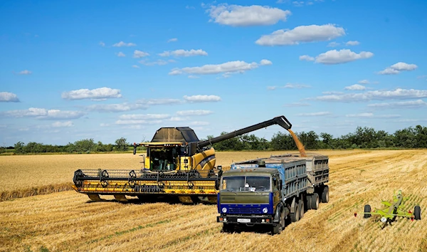 Farmers of the Voznesenka-Agro farm harvest with their combine in a wheat field not far from Melitopol, Zaporozhye region, Thursday, July 14, 2022 (AP)